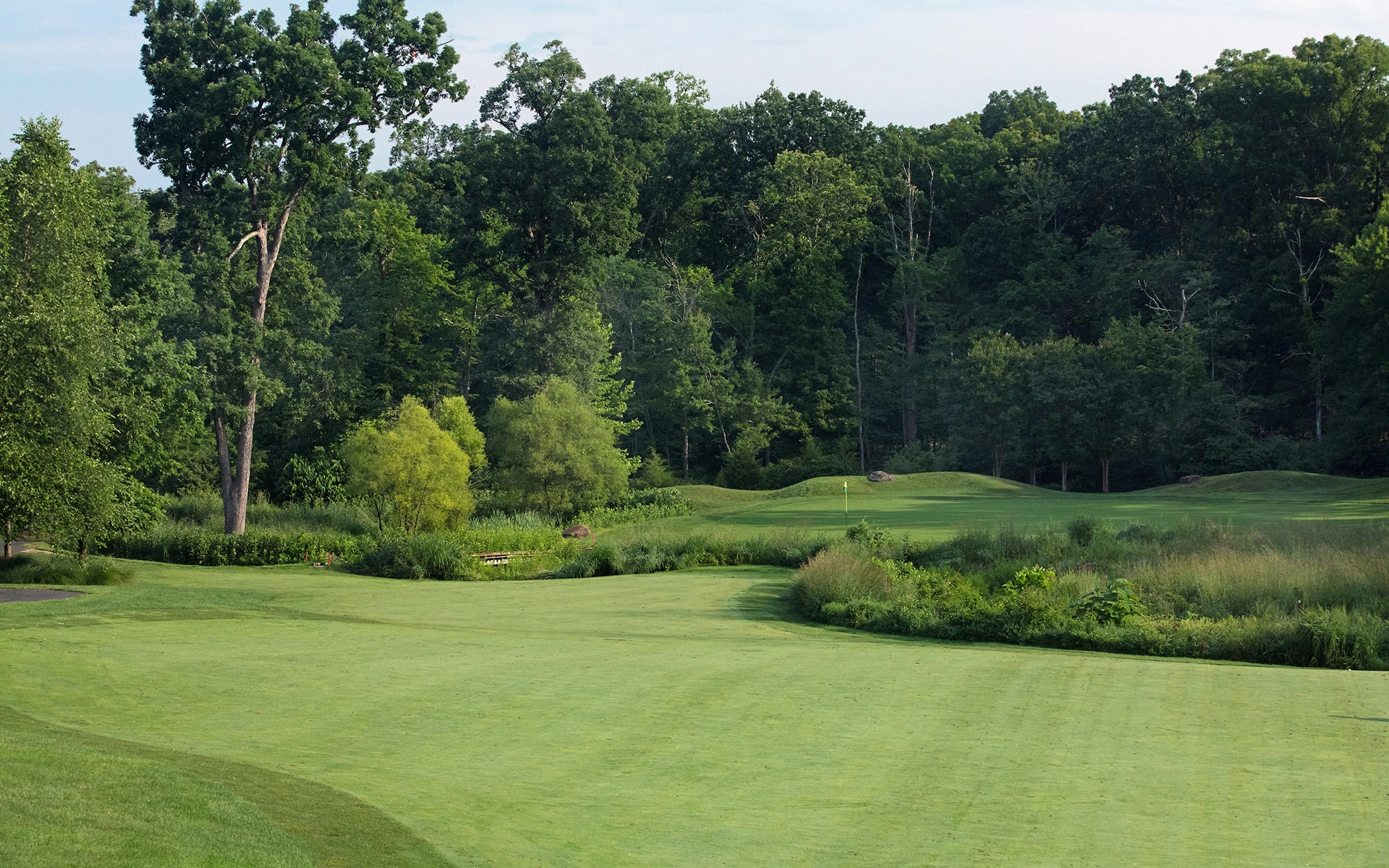 Golf | Belmont Country Club | Ashburn, VA | Invited