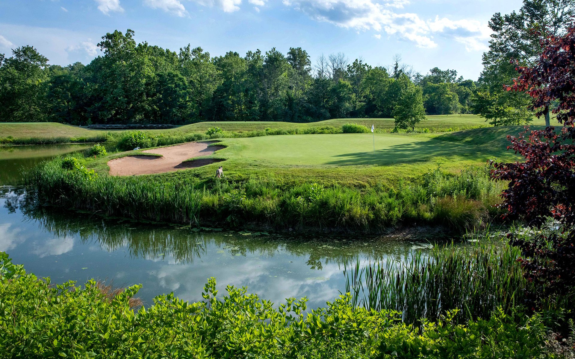 Golf Dominion Valley Country Club Haymarket, VA Invited