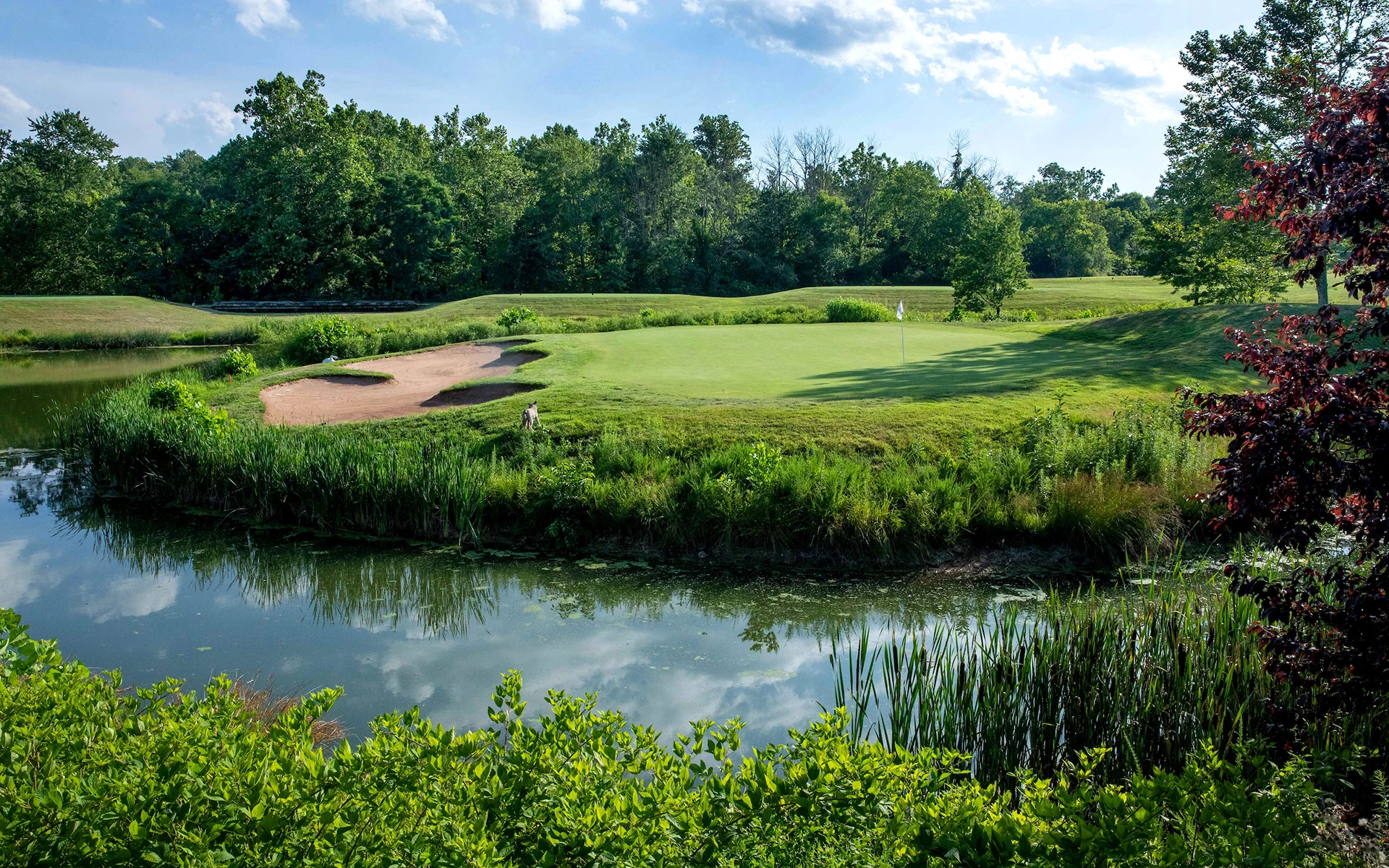 Golf | Dominion Valley Country Club | Haymarket, VA | Invited