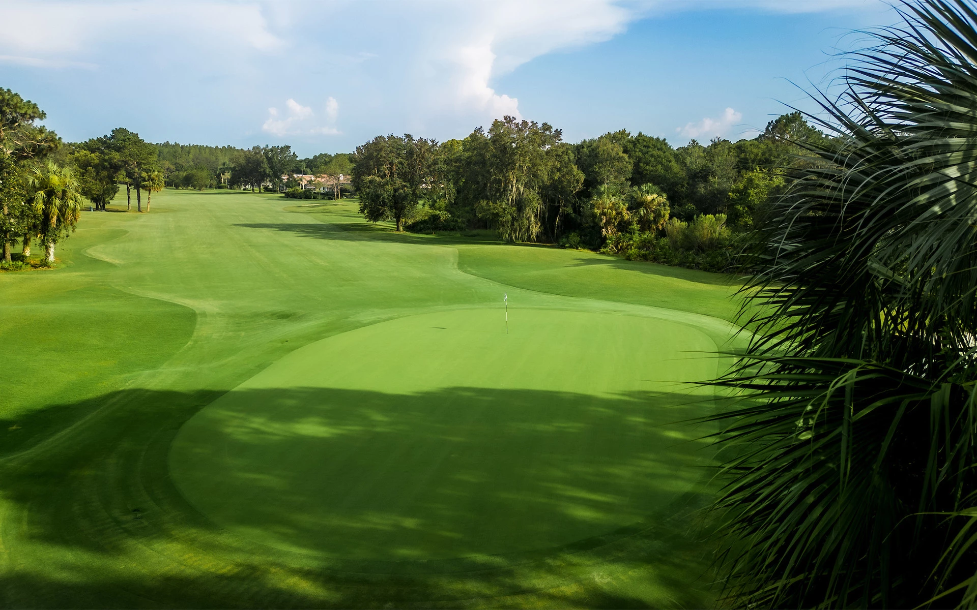 Golf | Hunter's Green Country Club | Tampa, FL | Invited