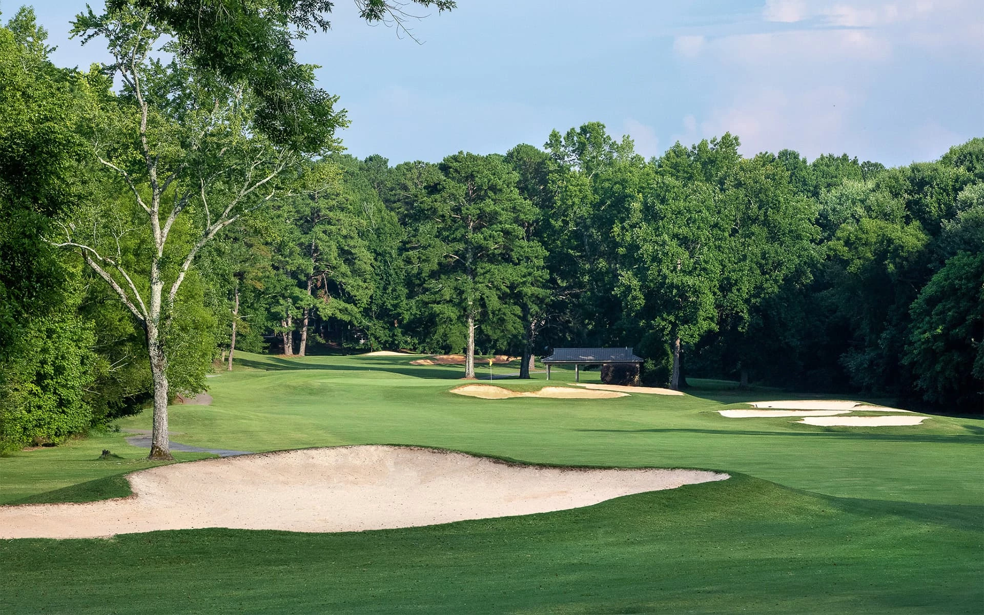 Golf Course at The Clubs of Peachtree City and Newnan | Membership