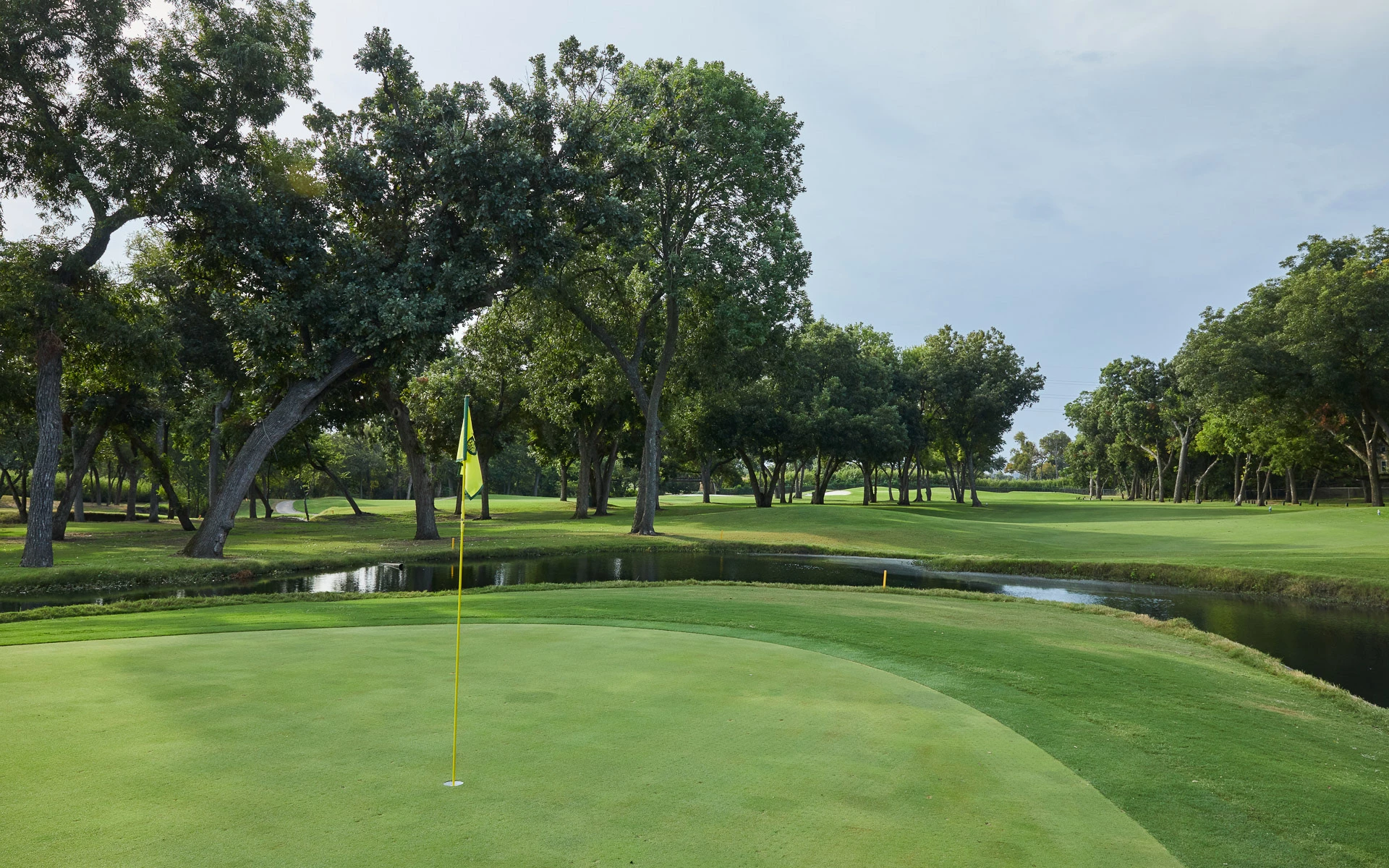 Golf Club Fitting in Fort Worth, TX